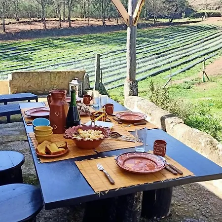 Quinta Do Cavaco * Arouca